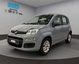 Fiat Panda Gebrauchtwagen