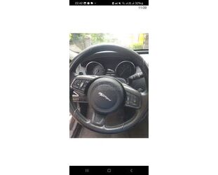 Jaguar XE Gebrauchtwagen
