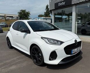 Mazda 2 Gebrauchtwagen