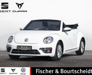 VW Beetle Gebrauchtwagen