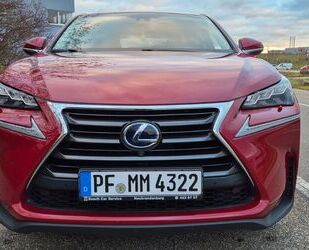 Lexus NX 300 Gebrauchtwagen