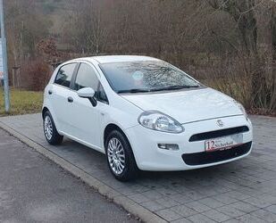 Fiat Punto Gebrauchtwagen
