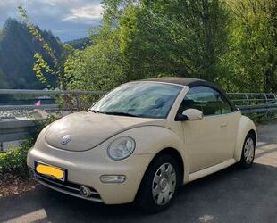 VW Beetle Gebrauchtwagen