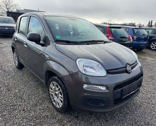 Fiat Panda Gebrauchtwagen