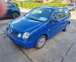 VW Polo Gebrauchtwagen