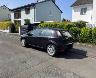 Fiat Punto Gebrauchtwagen