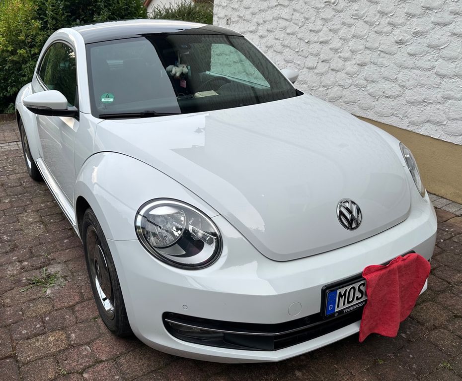 Bild 1