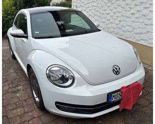 VW Beetle Gebrauchtwagen