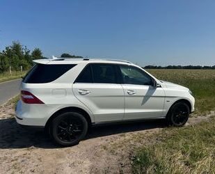 Mercedes-Benz ML 250 Gebrauchtwagen