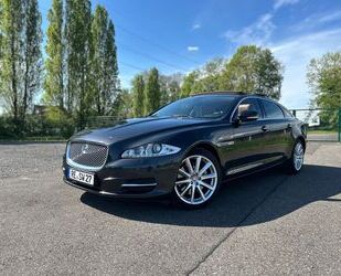 Jaguar XJ Gebrauchtwagen