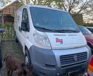 Fiat Ducato Gebrauchtwagen