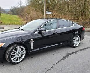 Jaguar XF Gebrauchtwagen