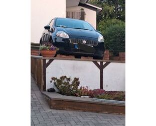Fiat Punto Gebrauchtwagen