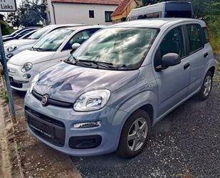 Fiat Panda Gebrauchtwagen