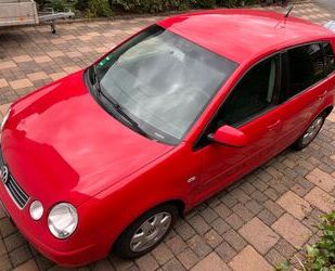 VW Polo Gebrauchtwagen