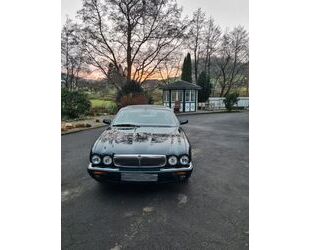 Jaguar XJ8 Gebrauchtwagen