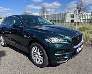 Jaguar F-Pace Gebrauchtwagen