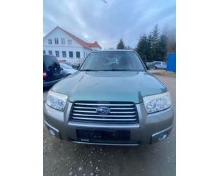 Subaru Forester Gebrauchtwagen