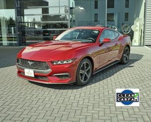 Ford Mustang Gebrauchtwagen