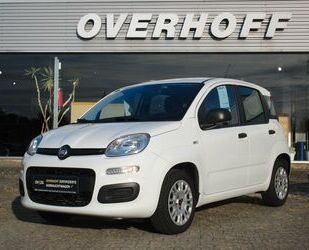 Fiat Panda Gebrauchtwagen