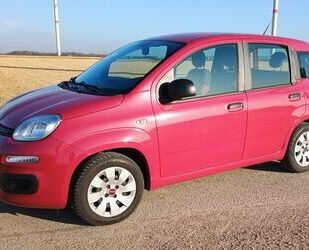 Fiat New Panda Gebrauchtwagen