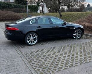 Jaguar XF Gebrauchtwagen