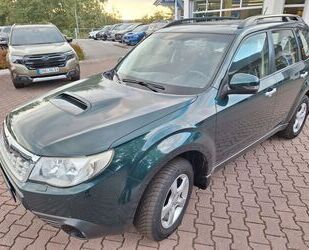 Subaru Forester Gebrauchtwagen