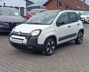 Fiat Panda Gebrauchtwagen