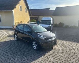 Kia Picanto Gebrauchtwagen