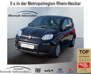 Fiat New Panda Gebrauchtwagen