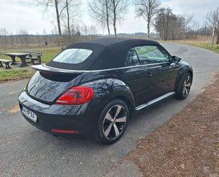 VW Beetle Gebrauchtwagen