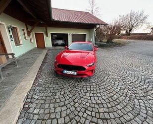 Ford Mustang Gebrauchtwagen