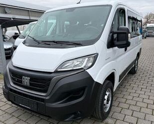 Fiat Ducato Gebrauchtwagen