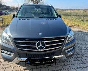 Mercedes-Benz 250 Gebrauchtwagen