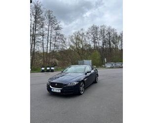 Kia XE 