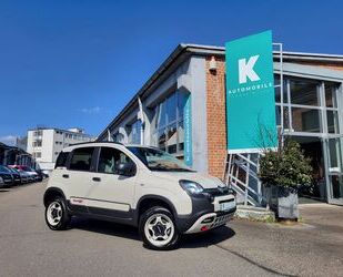 Fiat Panda Gebrauchtwagen