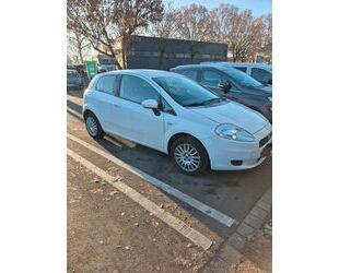 Fiat Punto Gebrauchtwagen