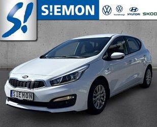 Kia ceed / Ceed Gebrauchtwagen