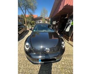 Honda Beetle 