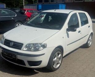 Fiat Punto Gebrauchtwagen