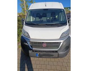 Fiat Ducato Gebrauchtwagen
