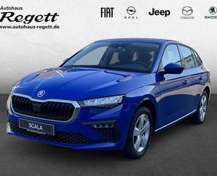 Skoda Scala Gebrauchtwagen