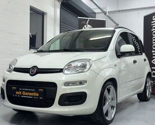 Fiat New Panda Gebrauchtwagen