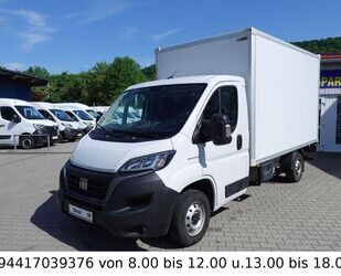Fiat Ducato Gebrauchtwagen