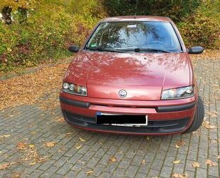 Fiat Punto Gebrauchtwagen