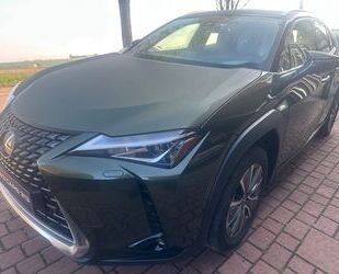 Lexus UX Gebrauchtwagen
