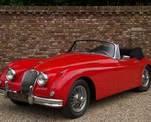 Jaguar XK Gebrauchtwagen