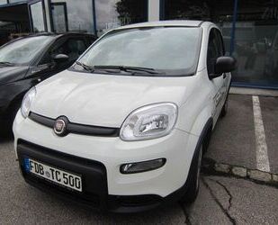 Fiat Panda Gebrauchtwagen