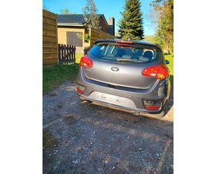 Kia ceed / Ceed Gebrauchtwagen