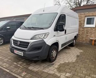 Fiat Ducato Gebrauchtwagen